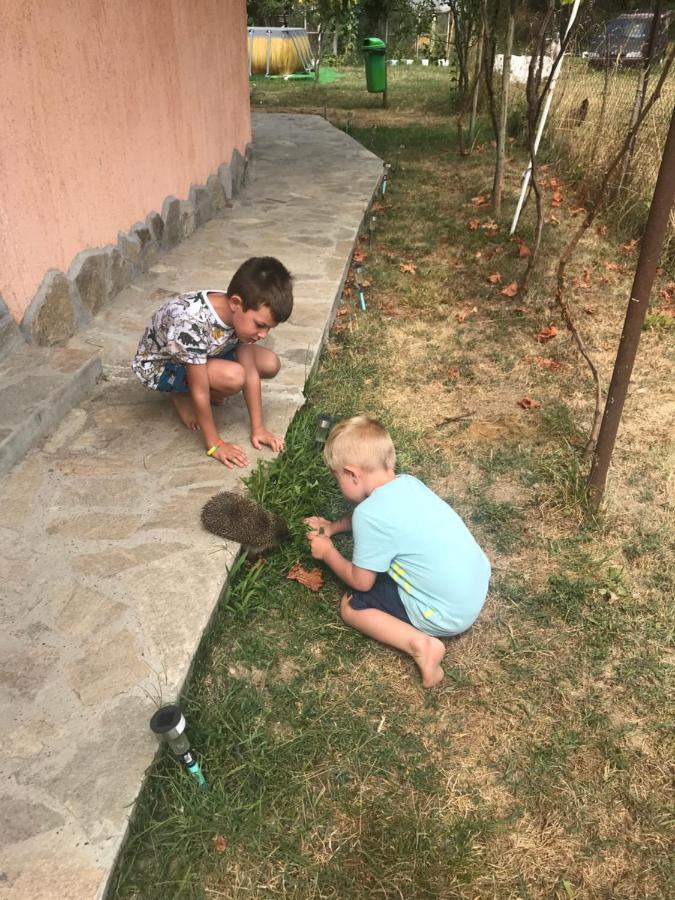 Стаи За Гости Тони リバリツァ エクステリア 写真